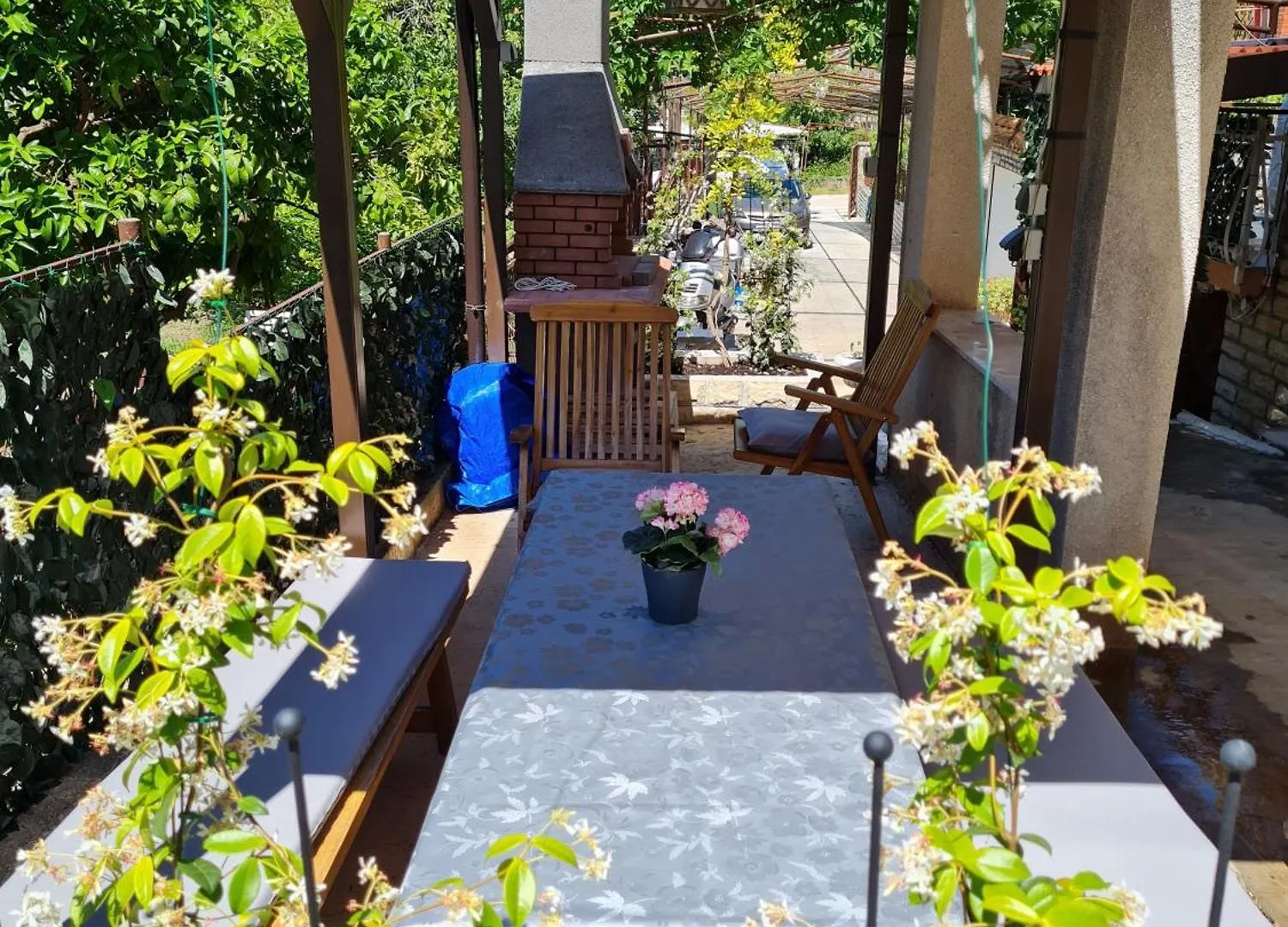 Apartments Kursan Seget Vranjica